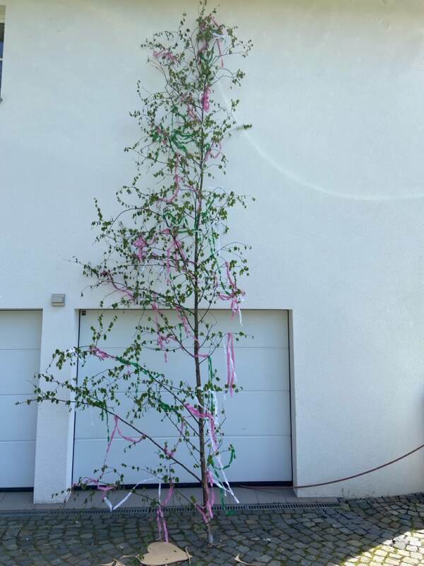 Maibaum Überraschung vor der Haustür