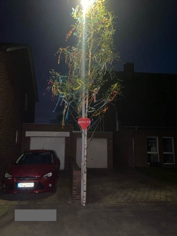 Birkenbaum geschmückt mit Bändern und Herz